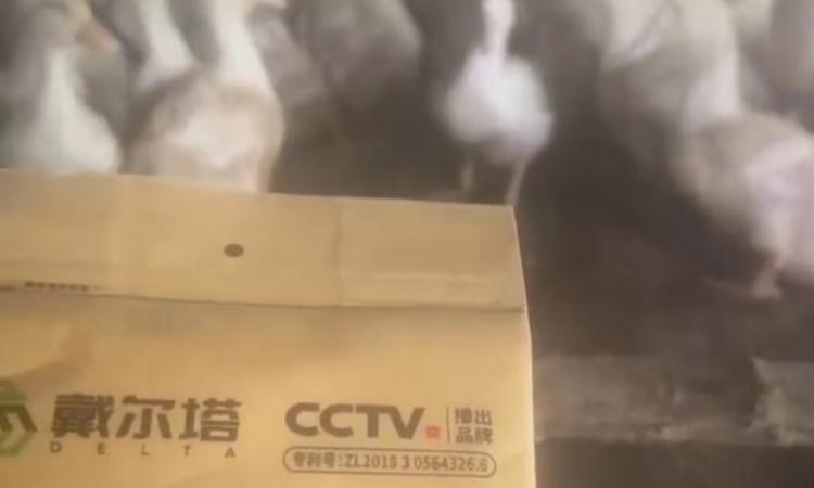 星空·（中国）电子官方网站
科学增免案例