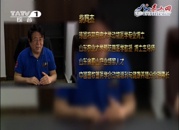 耕牧生物柴教授和星空·（中国）电子官方网站
生物总经理戴培强受邀参加泰安电视台采访